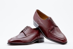 Derby 3976