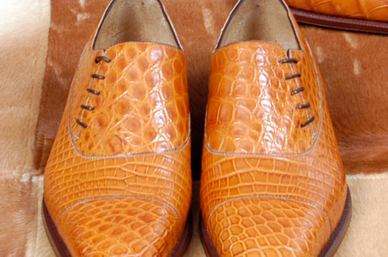 Crocodile shoes